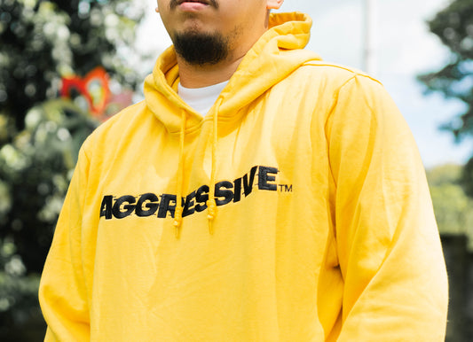 AGRSV ESSENTIAL LOGO PULLOVER HOODIE - EMBROIDERED