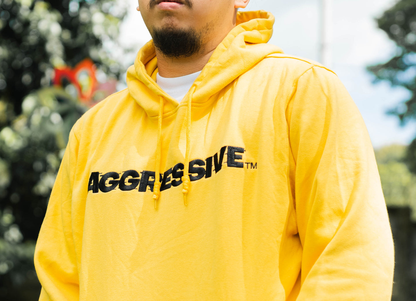 AGRSV ESSENTIAL LOGO PULLOVER HOODIE -  EMBROIDERED