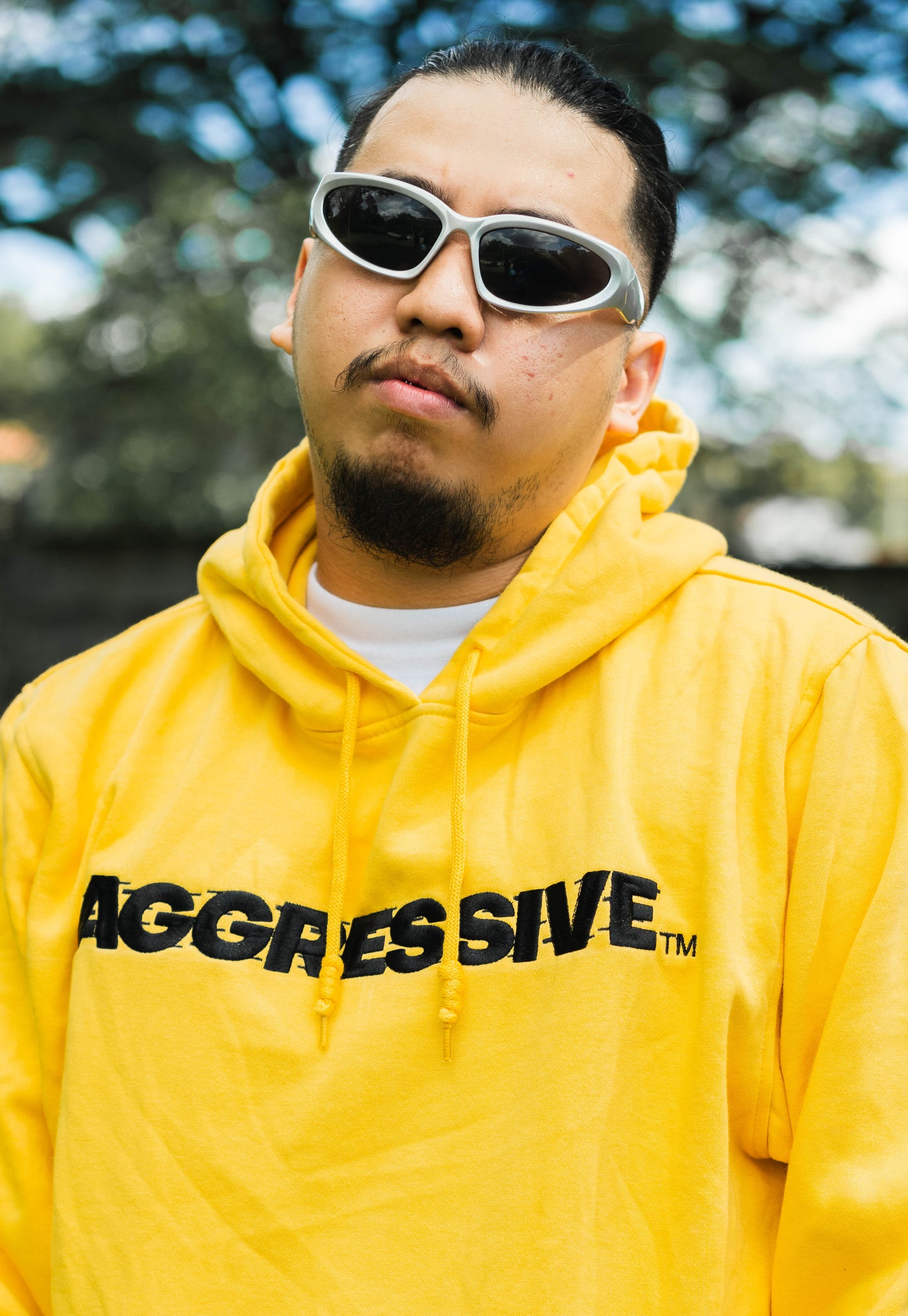 AGRSV ESSENTIAL LOGO PULLOVER HOODIE -  EMBROIDERED