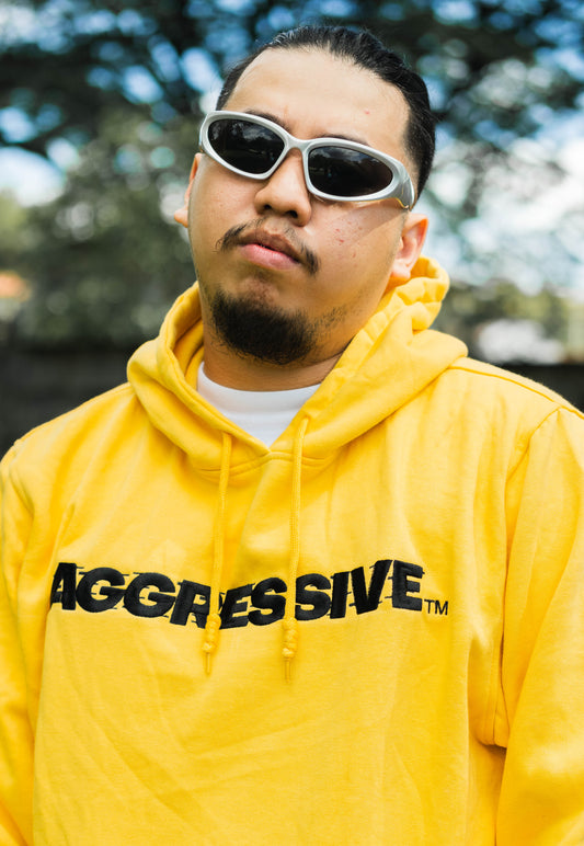 AGRSV ESSENTIAL LOGO PULLOVER HOODIE -  EMBROIDERED