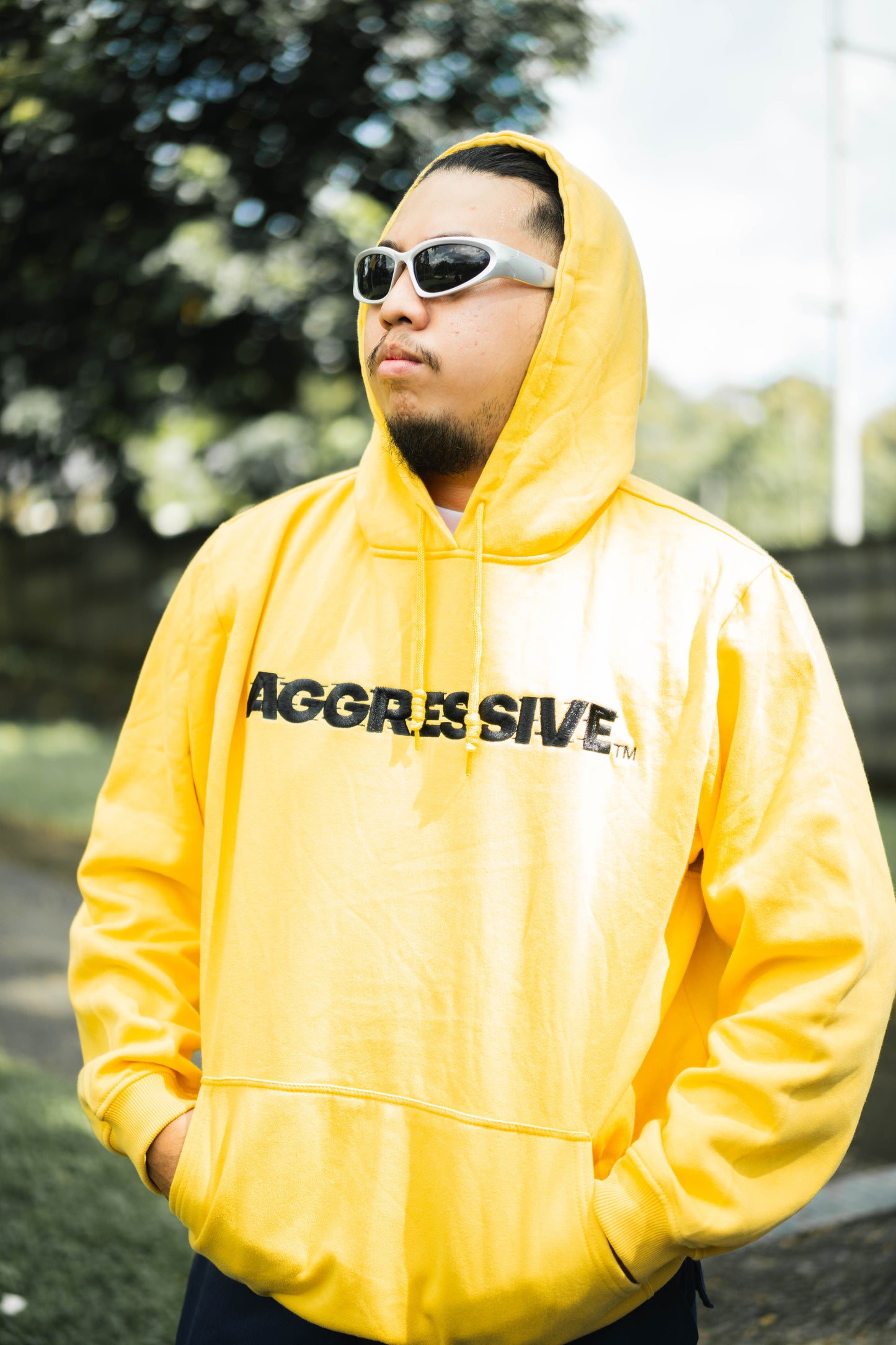 AGRSV ESSENTIAL LOGO PULLOVER HOODIE -  EMBROIDERED
