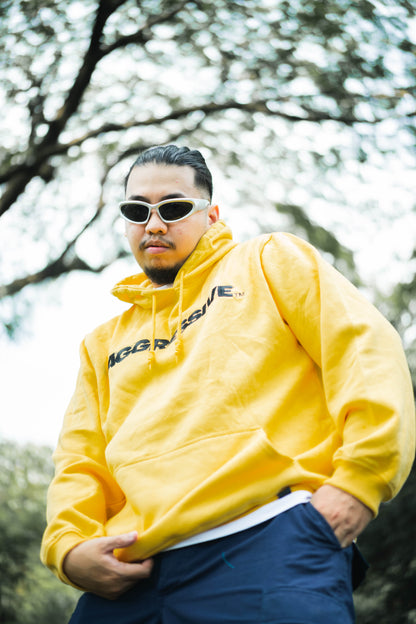 AGRSV ESSENTIAL LOGO PULLOVER HOODIE -  EMBROIDERED