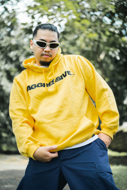 AGRSV ESSENTIAL LOGO PULLOVER HOODIE -  EMBROIDERED