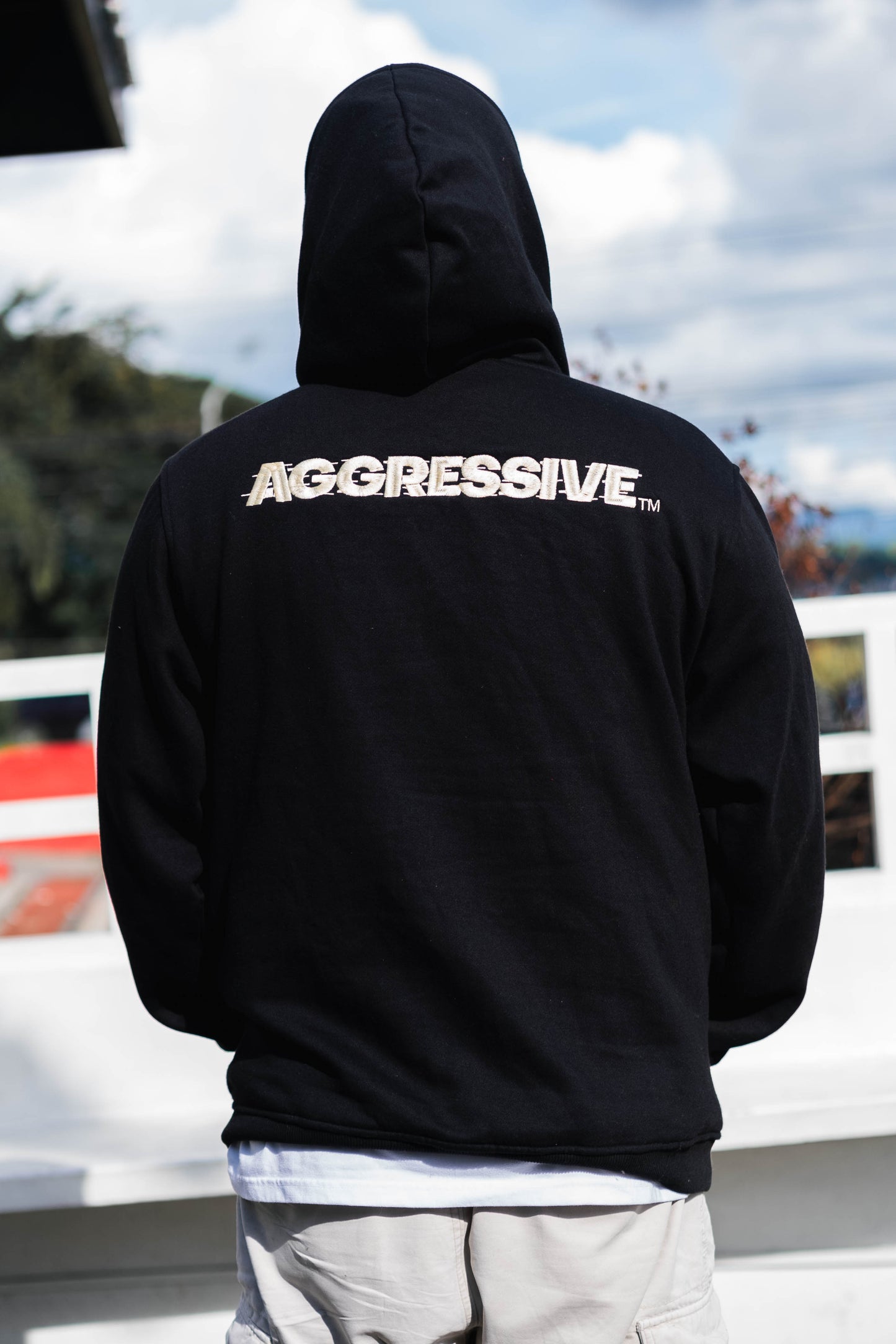 AGRSV ESSENTIAL LOGO PULLOVER HOODIE - EMBROIDERED