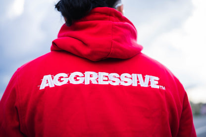 AGRSV ESSENTIAL LOGO PULLOVER HOODIE - EMBROIDERED