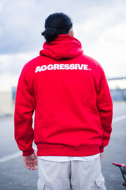 AGRSV ESSENTIAL LOGO PULLOVER HOODIE - EMBROIDERED